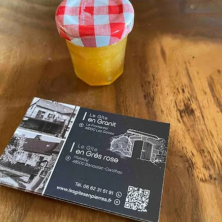 Maison Charmante A Banassac Avec Terrasse Holiday home *